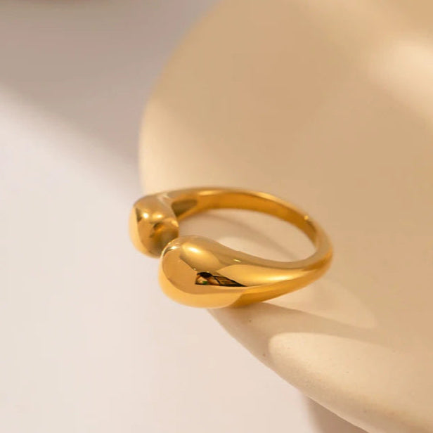 טבעת גיאומטרית