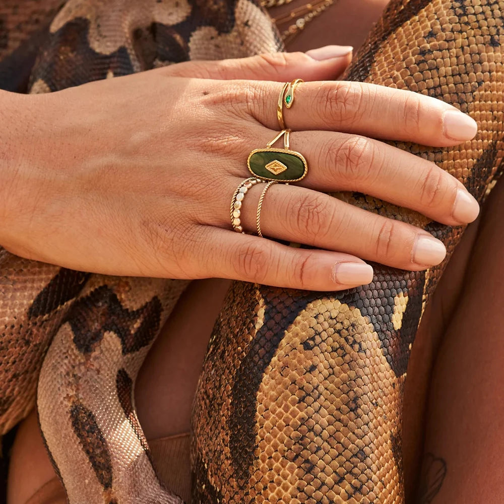 טבעת צדף קלאסית