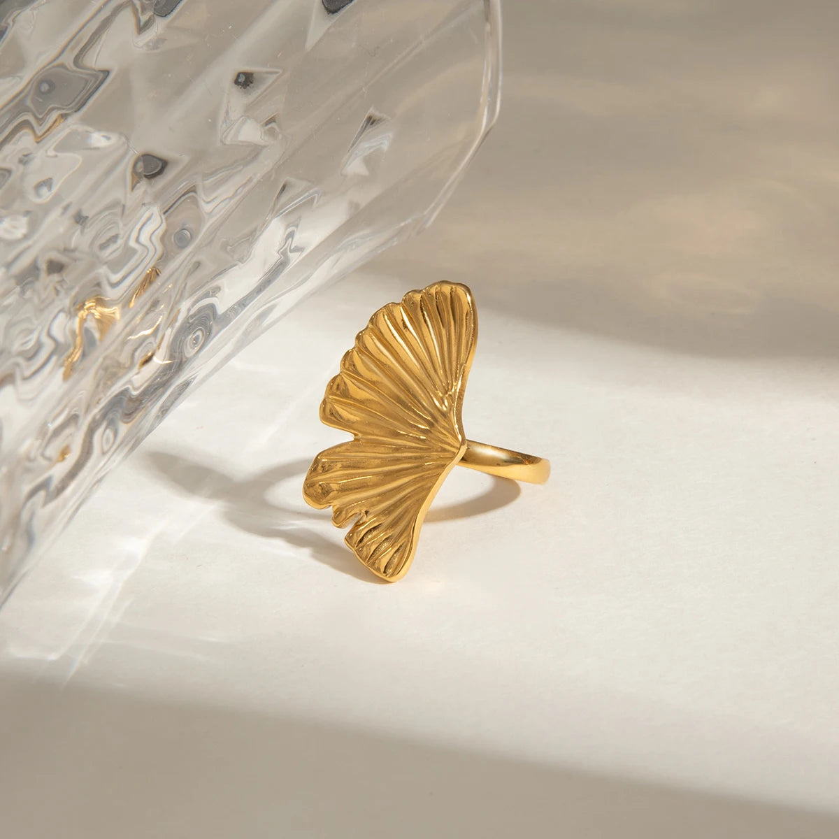 טבעת גיאומטרית